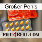 Großer Penis new01